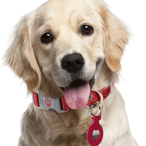 Dog Collar - Picture 5 of 5